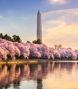 WashingtonDC-Location-compress